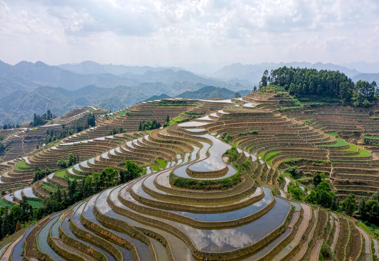 Longji rice terraces cascading down mountains