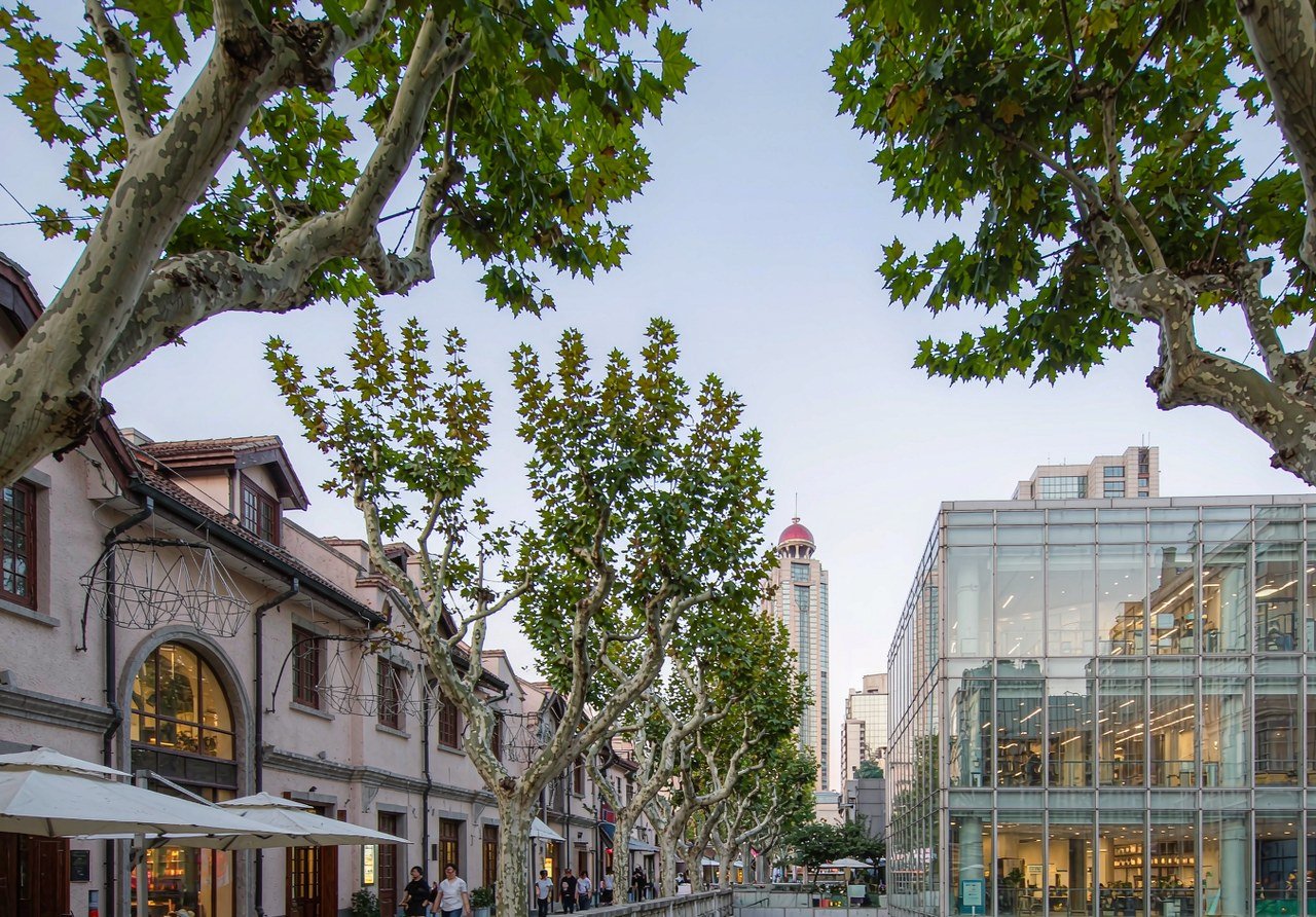 Tree-lined street of restored shikumen houses in Xintiandi and the former French Concession